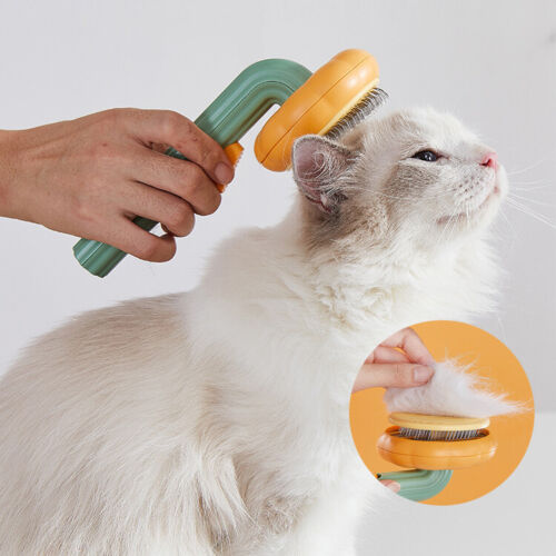 Pet Pumpkin Brush, Self Cleaning Slicker Brush Pet